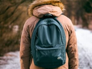 backpack, bag, man, nature, snow, winter, brown snow