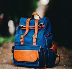 Close-up of a fashionable blue backpack on a city sidewalk in São Paulo.